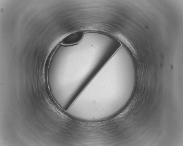 X0000066080884200603241429