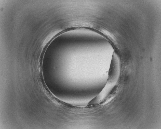 X0000066080885200603241429