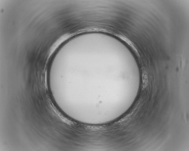 X0000066080886200603241429