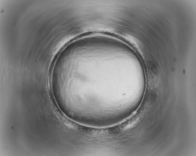 X0000066080887200603241429