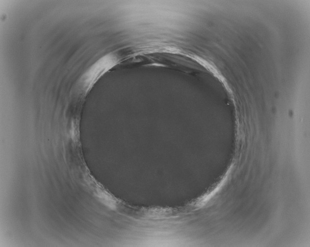 X0000066080889200603241429