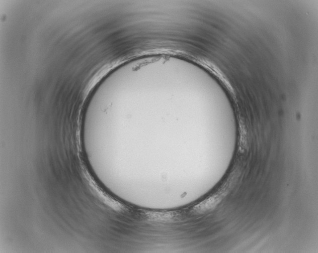 X0000066080890200603241429