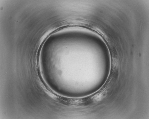 X0000066080891200603241429