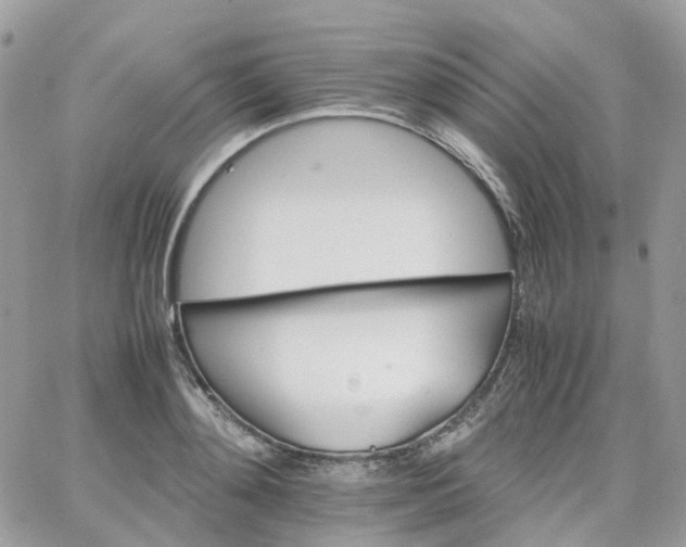 X0000066080892200603241429