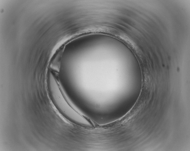 X0000066080894200603241429