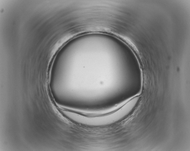 X0000066080895200603241429