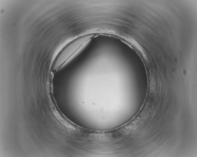 X0000066080896200603241429