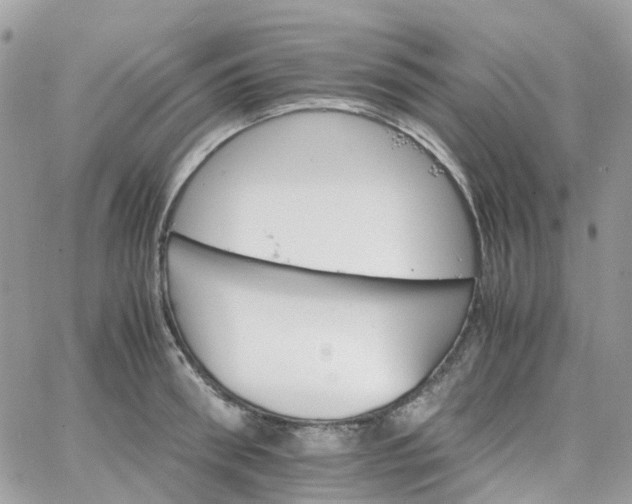 X0000066080898200603241429