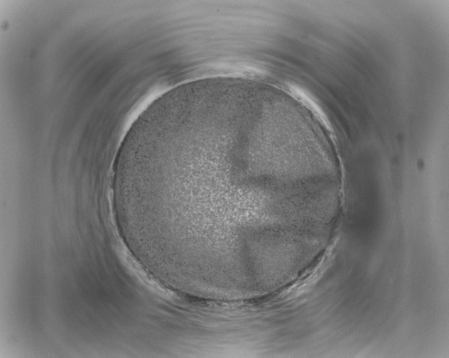 X0000066080899200603241429