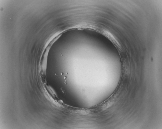 X0000066080900200603241429