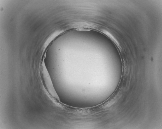 X0000066080901200603241429