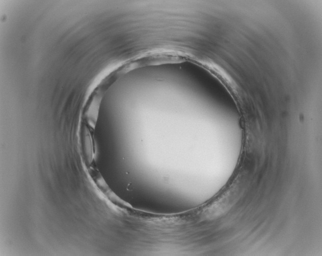 X0000066080902200603241429