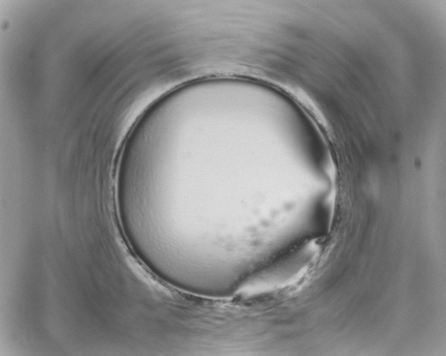 X0000066080903200603241429