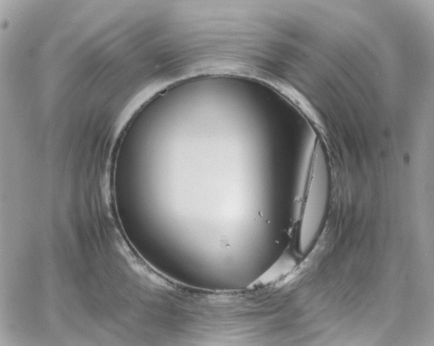 X0000066080904200603241429