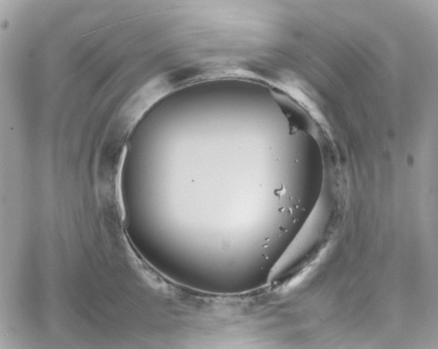 X0000066080905200603241429