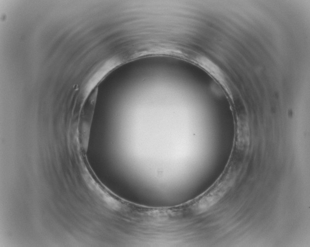 X0000066080906200603241429