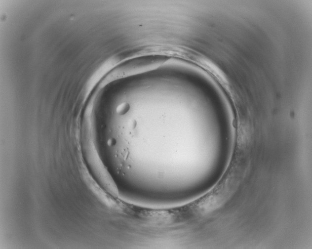 X0000066080907200603241429