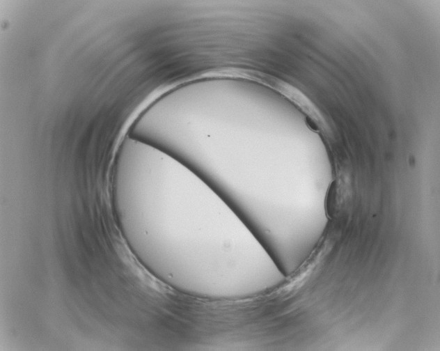 X0000066080908200603241429