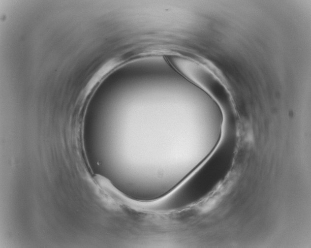 X0000066080909200603241428