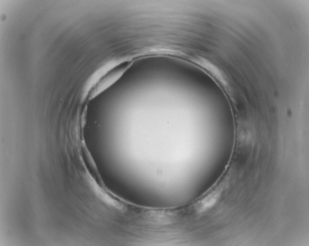 X0000066080910200603241428