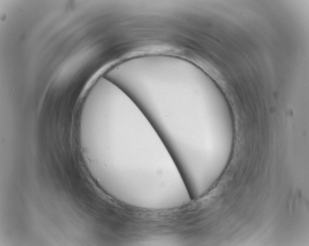 X0000066080912200603241428