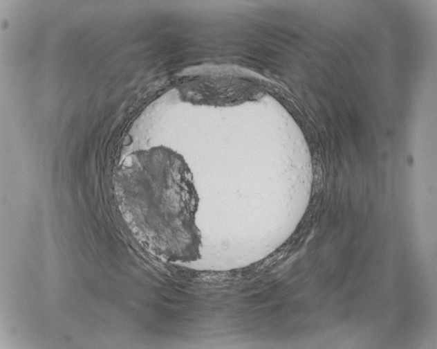 X0000066080913200603241428