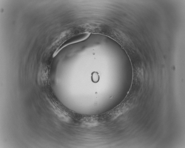 X0000066080914200603241428