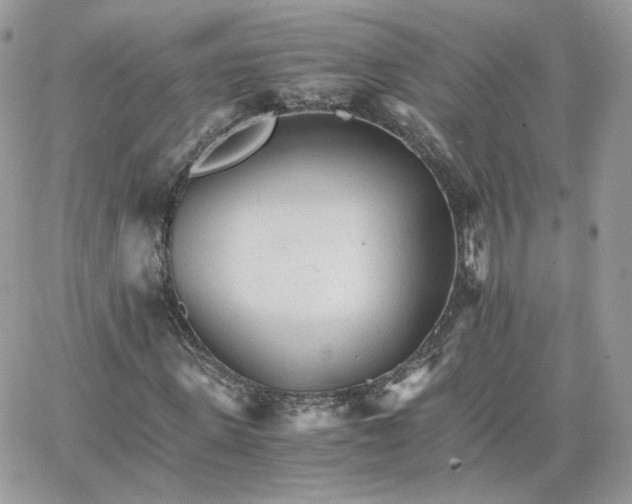 X0000066080915200603241428