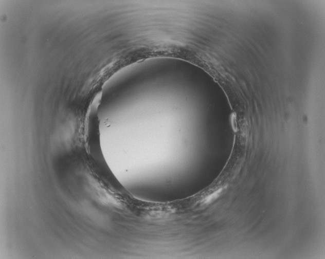 X0000066080916200603241428