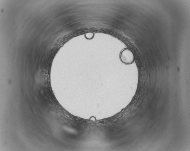 X0000066080918200603241428