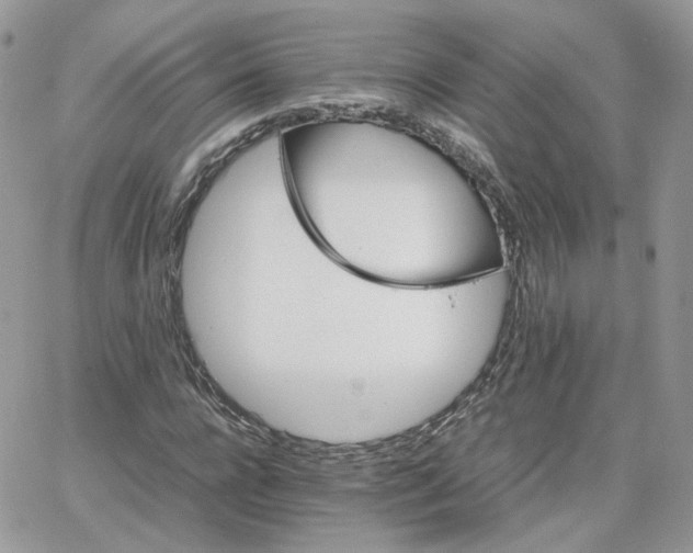 X0000066080920200603241428