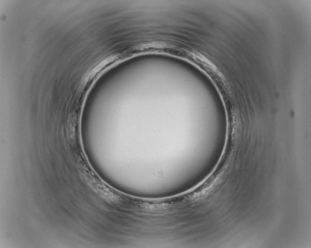 X0000066080921200603241428