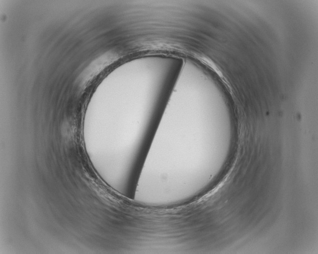 X0000066080922200603241428