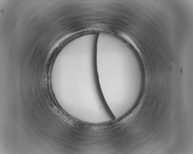 X0000066080923200603241428