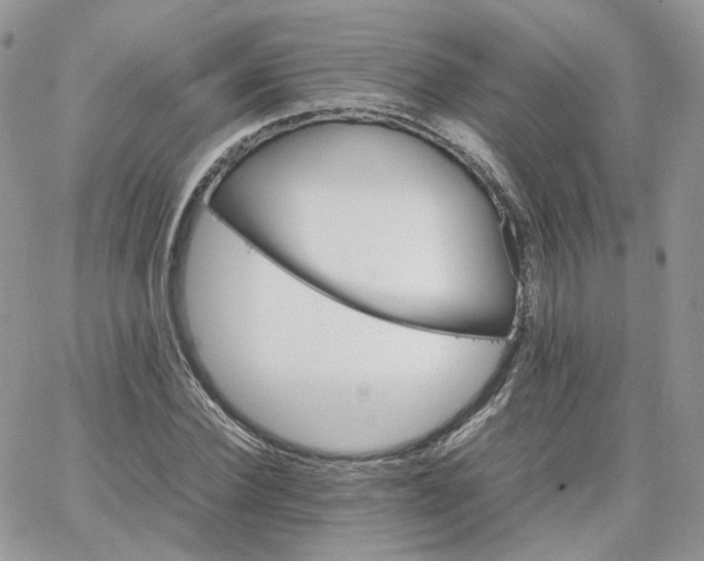 X0000066080924200603241428