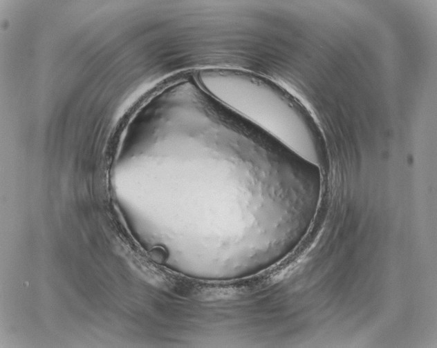 X0000066080925200603241428