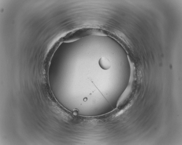 X0000066080926200603241428