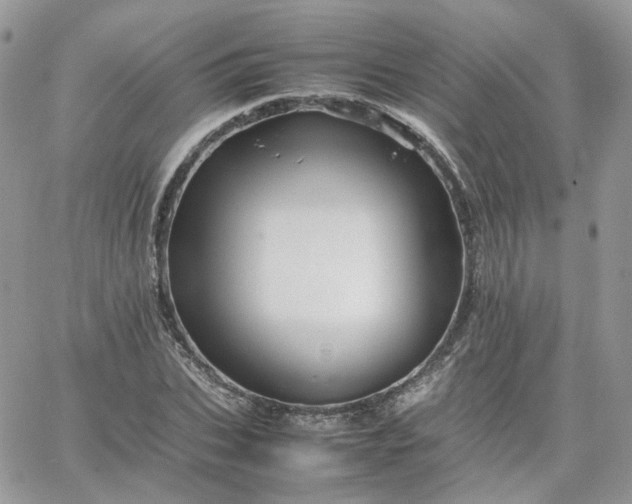 X0000066080927200603241428