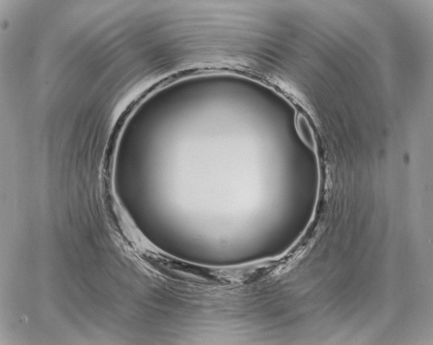 X0000066080928200603241428