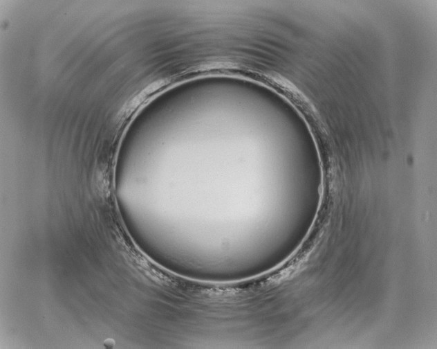 X0000066080929200603241428