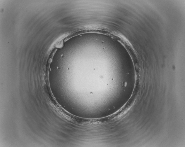 X0000066080930200603241428