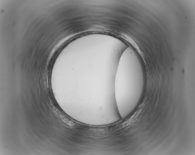 X0000066080931200603241428