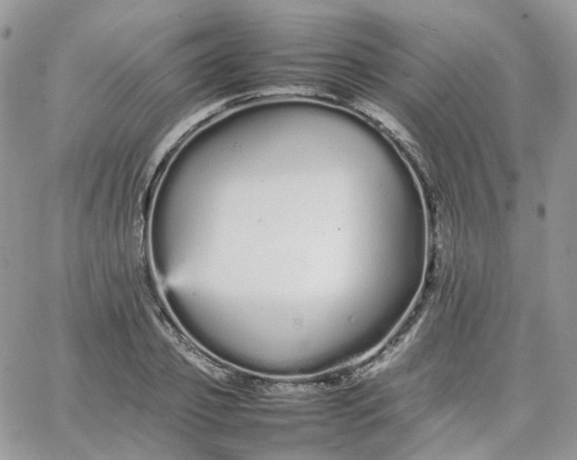 X0000066080933200603241428