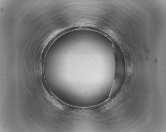 X0000066080934200603241428