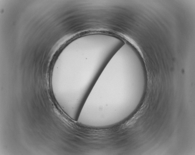 X0000066080935200603241428