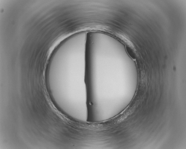 X0000066080936200603241428