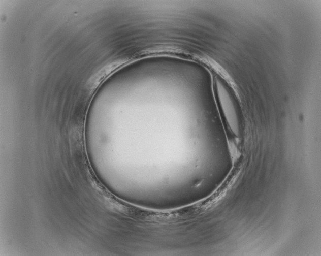 X0000066080937200603241428