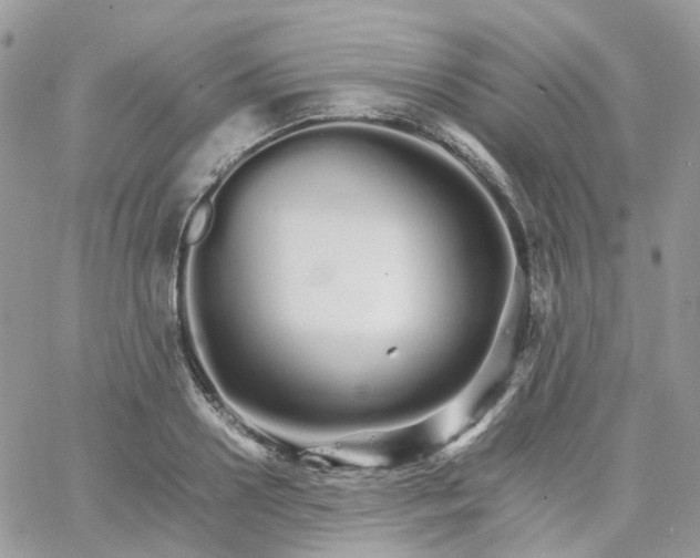 X0000066080938200603241428