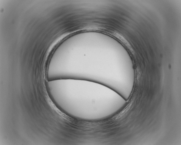 X0000066080939200603241428