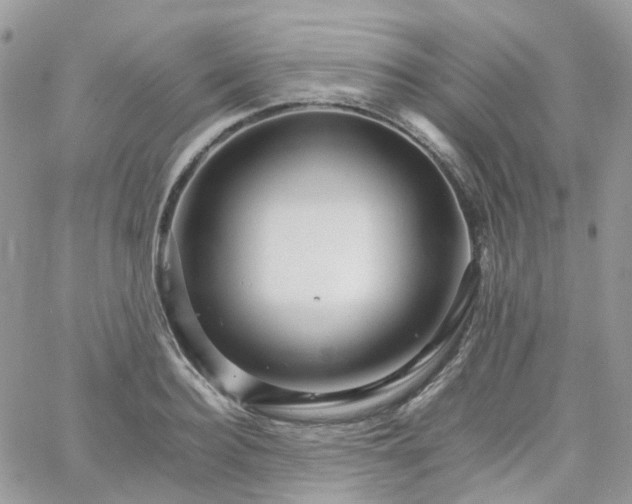 X0000066080940200603241428